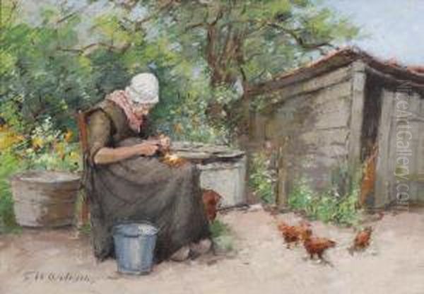 The Peeling Of Potatoes In Thesun - view 1