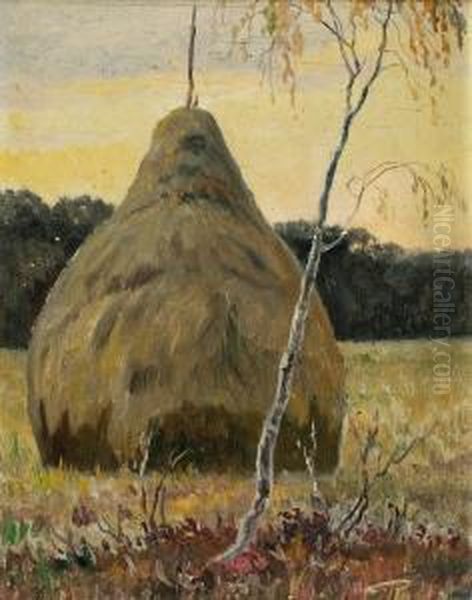 Stog Siana - view 1