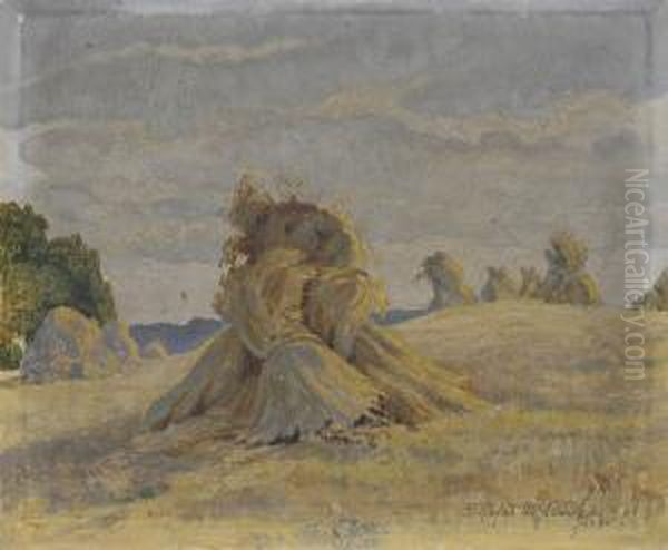 Zniwa - view 1