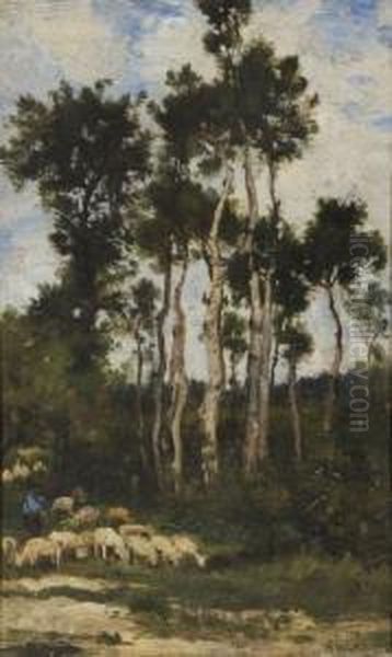 Moutons En Foret - view 1