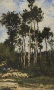 Moutons En Foret Moutons En Foret