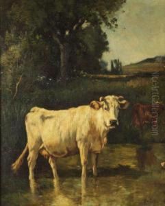 La Vache Blanche