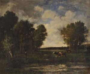 Farmer's Wife With Cows Near The Swamp