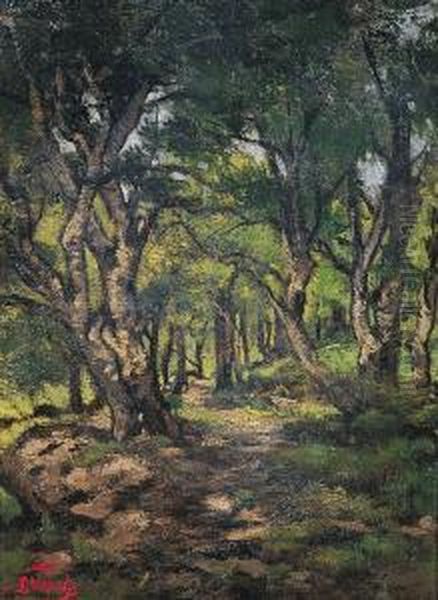 Chemin Dans La Foret - view 1
