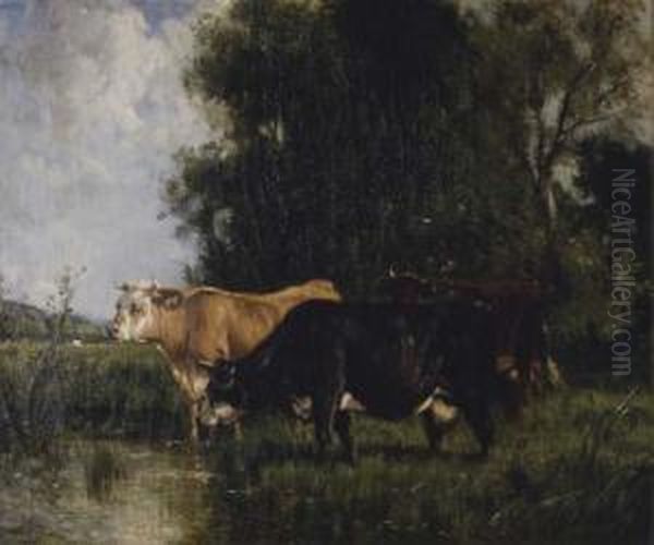 Cattle Watering By A Pond - view 1