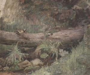 Study Of A Tree Trunk By Astream by John William Waterhouse