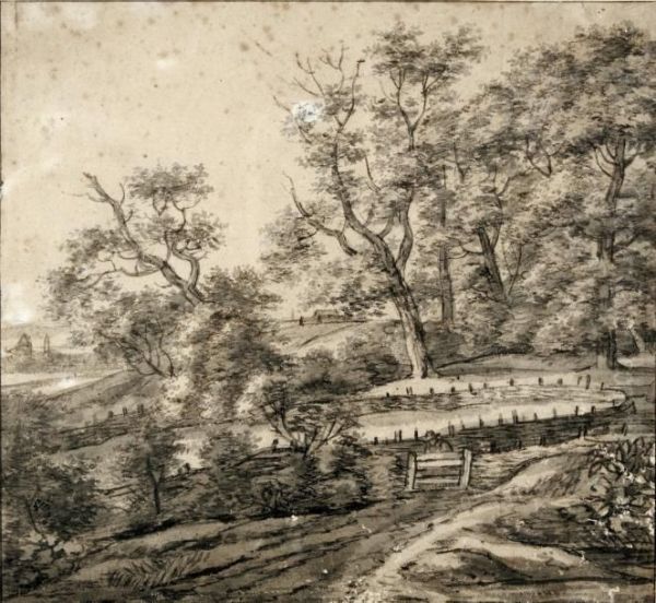Paysage Boise Avec Un Homme Pres D'un Enclos - view 1