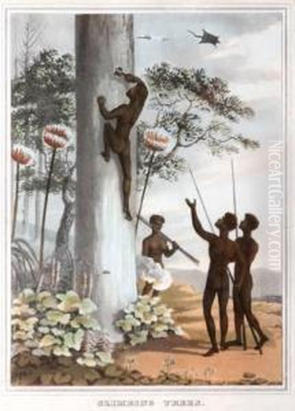 Field Sports Of The Native Inhabitants Of Nsw - view 1