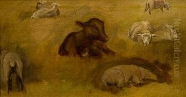 Study Of Sheep - view 1