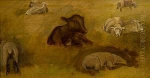 Study Of Sheep Study Of Sheep