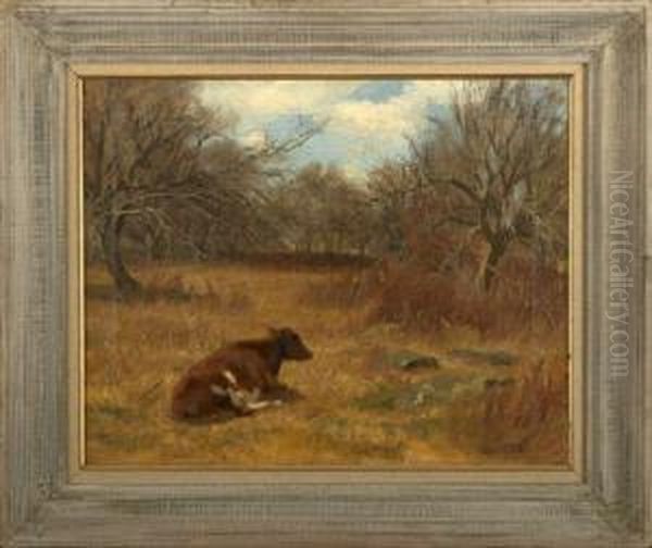 Cow Resting In An Autumnal Country Landscape - view 1