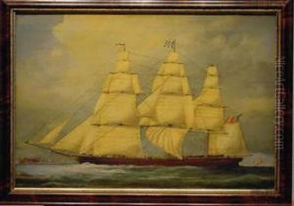 The New York Clipper "challenge" Off The Battery - view 1