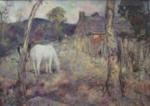 Pony In A Field, Glenesk - view 1