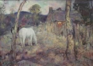 Pony In A Field, Glenesk by David Waterson