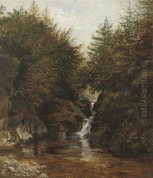 Shankin Brook, Kilbride - view 1