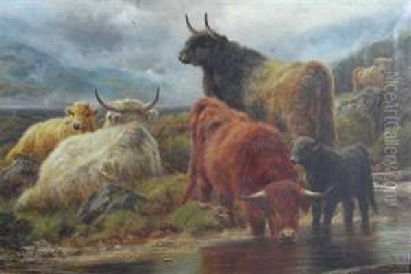 Highland Cattle At The Watering Place - view 1