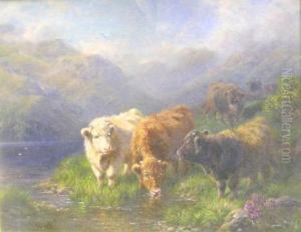 Young Highland Cattle In Landscape - view 1