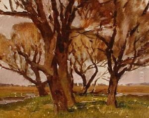 Autumn Trees In A Landscape