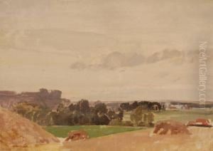 Extensive Landscape