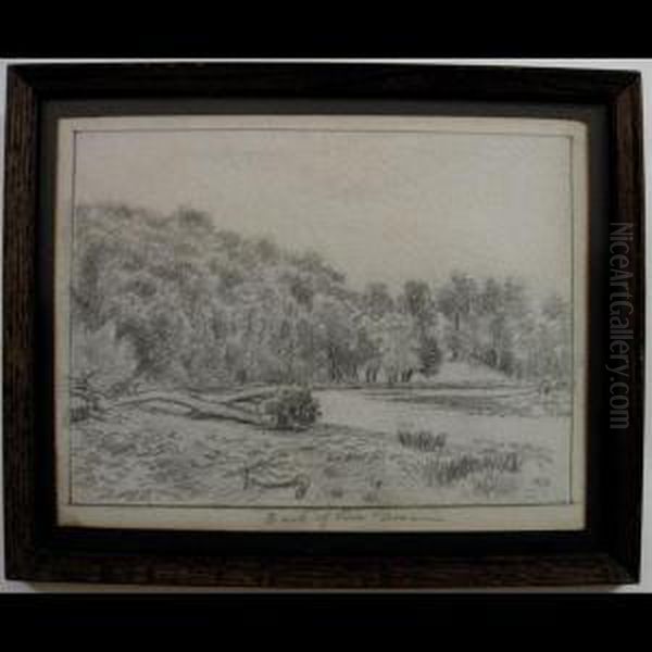 Bank Of Trees Doon - view 1