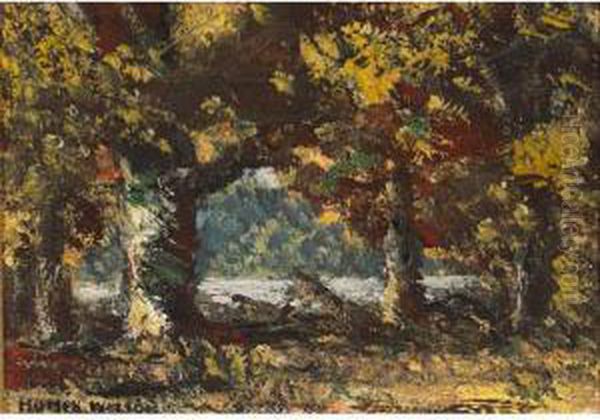 Landscape Near Doon - view 1
