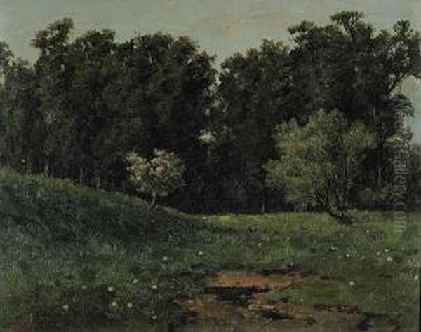 Untitled - Dreaming In The Meadow - view 1