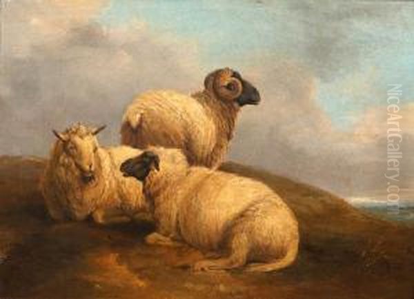 Sheep Before A Landscape - view 1