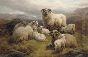 Sheep Grazing By A Loch Sheep Grazing By A Loch