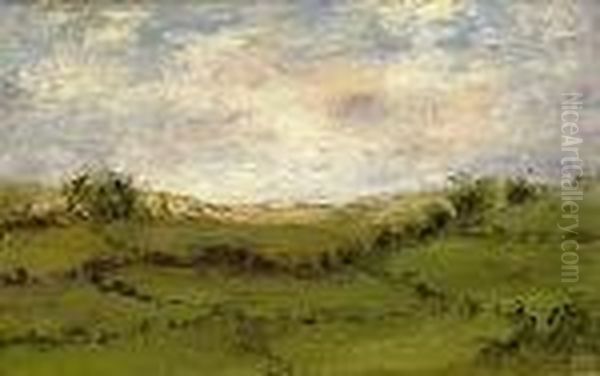 Farmlands Near Comber - view 1