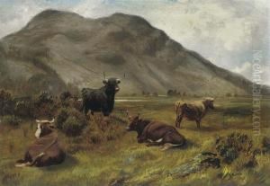 Cattle Grazing In A Highland Landscape