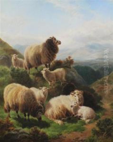 Sheep In A Mountainous Landscape - view 1