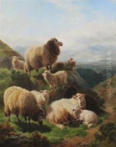Sheep In A Mountainous Landscape Sheep In A Mountainous Landscape