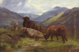 Highland Cattle Resting Before A Loch Highland Cattle Resting Before A Loch