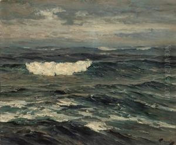 Open Water - view 1