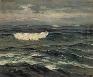 Open Water Open Water