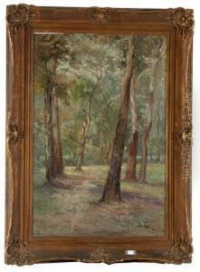 The Gums At Eltham The Gums At Eltham