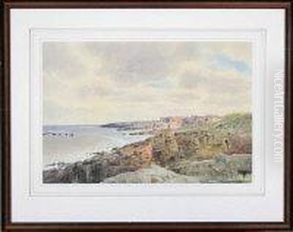 Craster Harbour, Northumberland - view 1