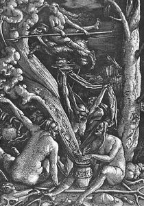 Witches Sabbath 1510 by Hans Baldung Grien