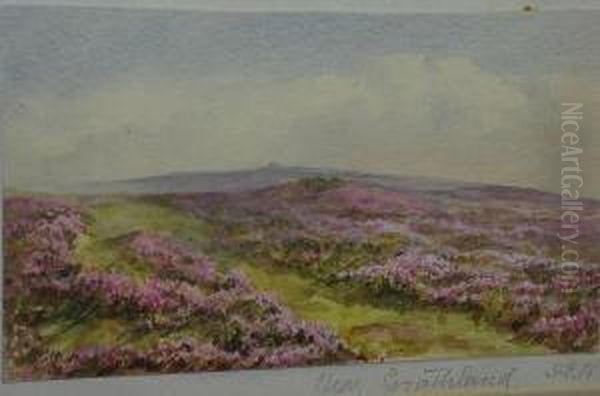 Near Goathland - view 1