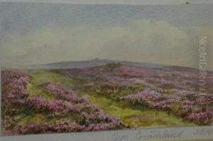 Near Goathland by Sarah Ellen Weatherill