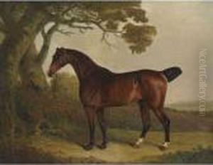 A Bay Horse Tethered To A Tree In A Landscape