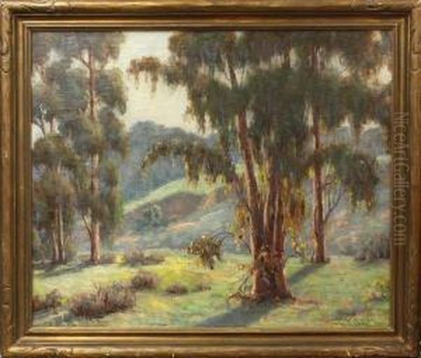 California Landscape With Eucalyptus Trees - view 1