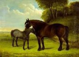 Jument Et Son Poulain by Byron Webb
