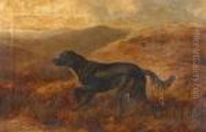 Black Retriever In A Landscape