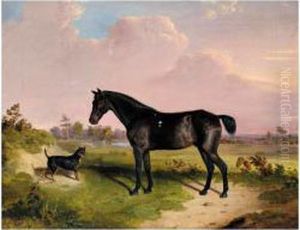 A Dark Bay Pony With A Terrier In A Landscape