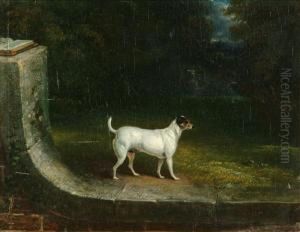 A Fox Terrieron A Ha-ha by Edward Walter Webb
