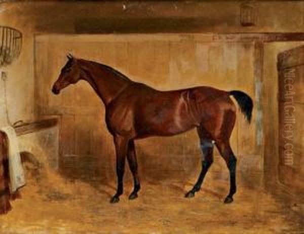 Cheval A L'ecurie - view 1