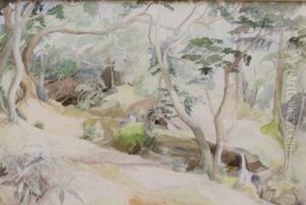Pathway In The Woods - view 1