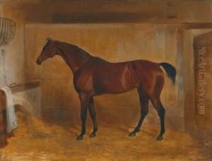 A Thoroughbred Bay In The Stable by William Webb
