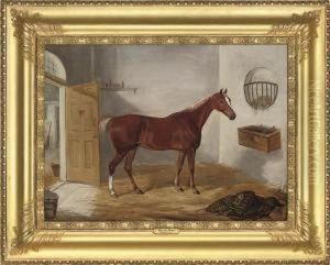 A Chestnut Hunter In A Stable by William Webb